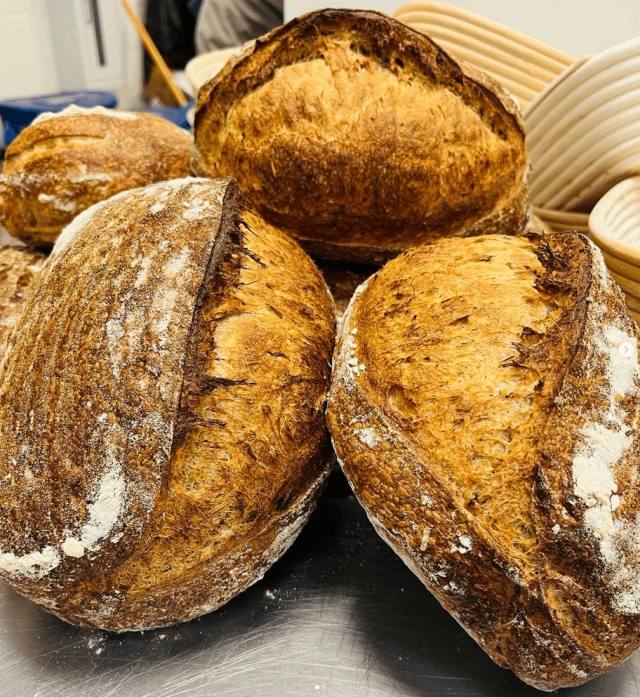 Rustic artisan sourdough loaves with deeply scored crusts