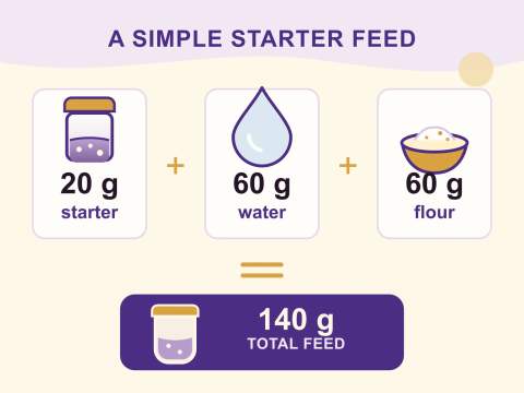 20 g starter plus 60 g water plus 60 g flour makes 140 g total
